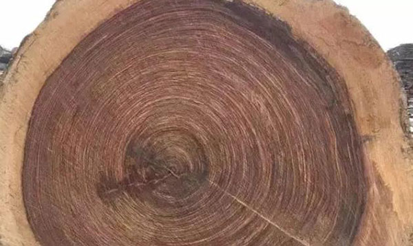 實木家具的色差是不可避免的