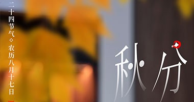 秋分節(jié)氣 童話森林家具